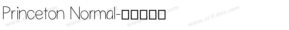 Princeton Normal字体转换